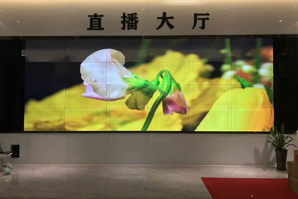 直播大屏用哪種好，直播大屏有哪些